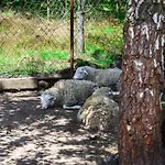 Koziolkowo Vakantieboerderij