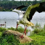 Koziolkowo Bartoszylas