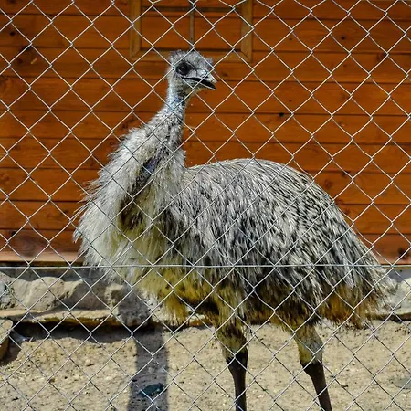 Gospodarstwo agroturystyczne Koziołkowo Bartoszylas