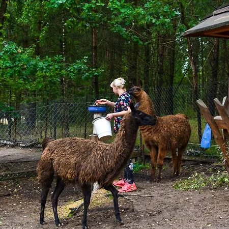 Koziołkowo Gospodarstwo agroturystyczne Bartoszylas