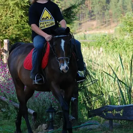 Gospodarstwo agroturystyczne Koziołkowo *