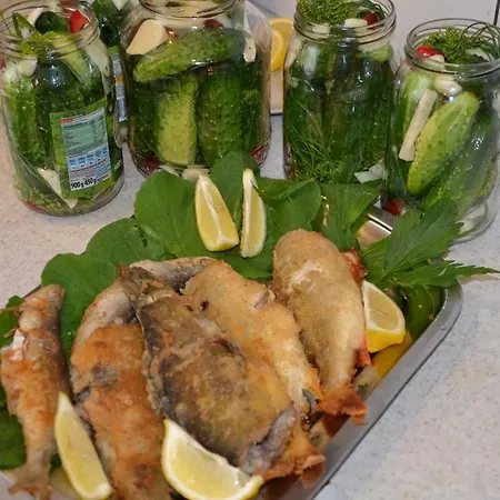 Gospodarstwo agroturystyczne Koziołkowo *