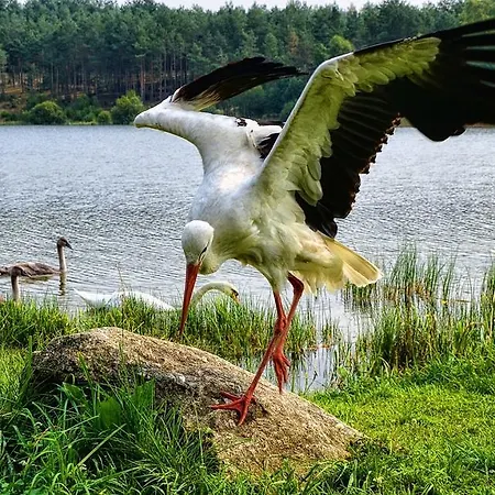 Koziołkowo Bartoszylas