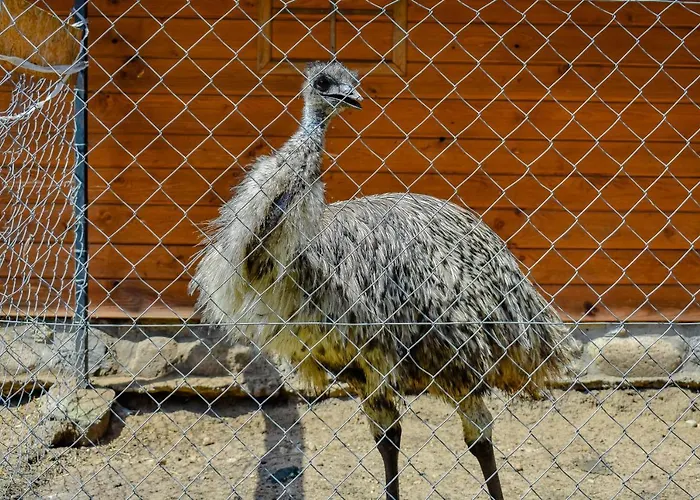 农家乐 Koziolkowo Bartoszylas