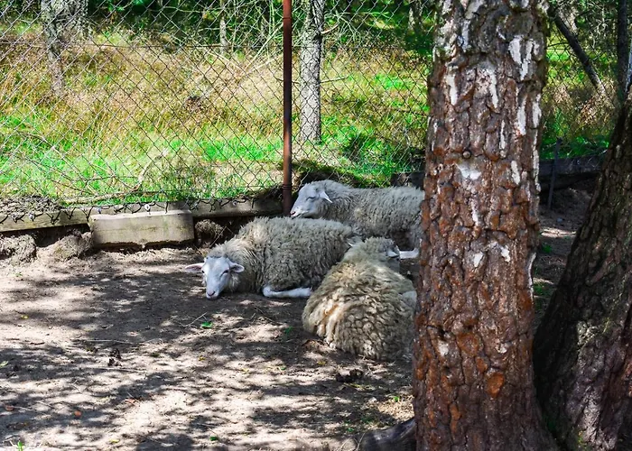 Koziołkowo Gospodarstwo agroturystyczne