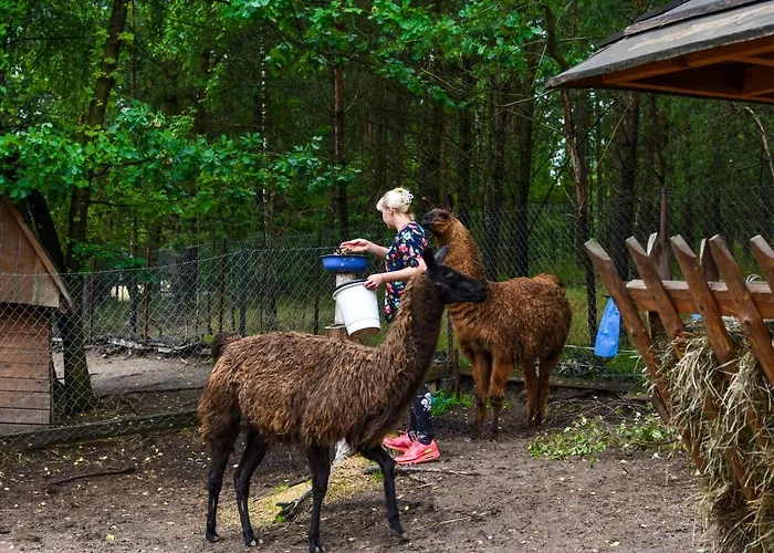 Koziołkowo Gospodarstwo agroturystyczne Bartoszylas