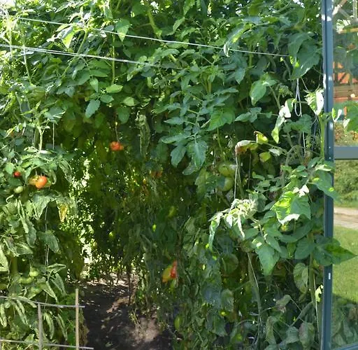 Koziolkowo Bartoszylas