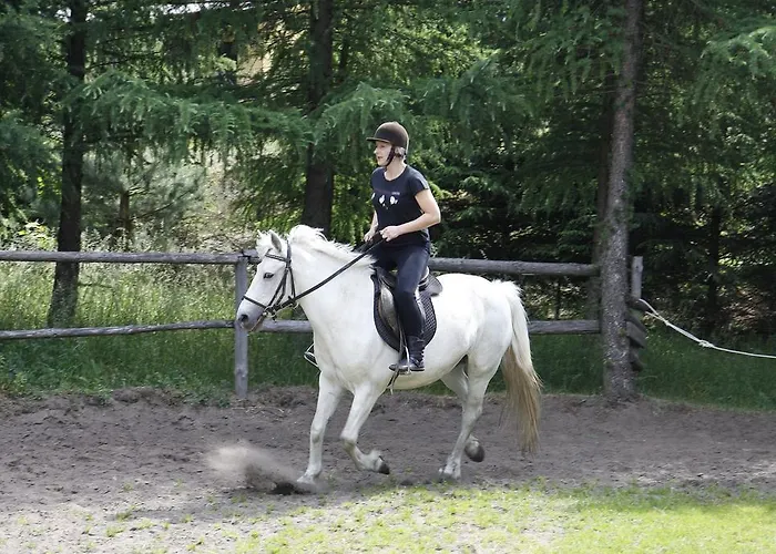 Gospodarstwo agroturystyczne Koziołkowo *