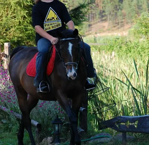 农家乐 Koziolkowo *