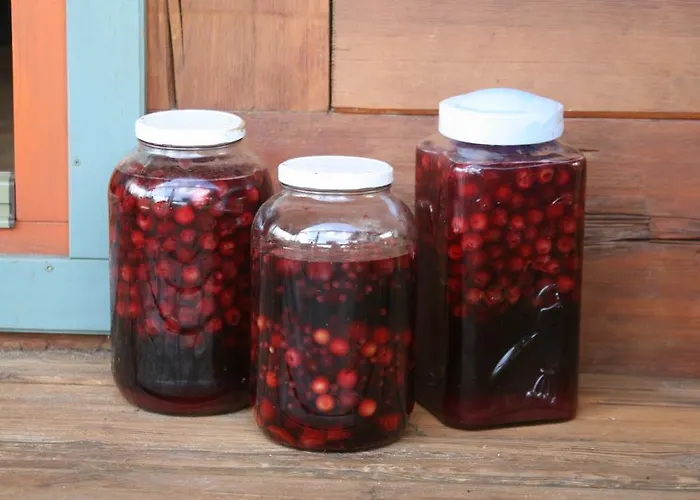 农家乐 Koziolkowo *