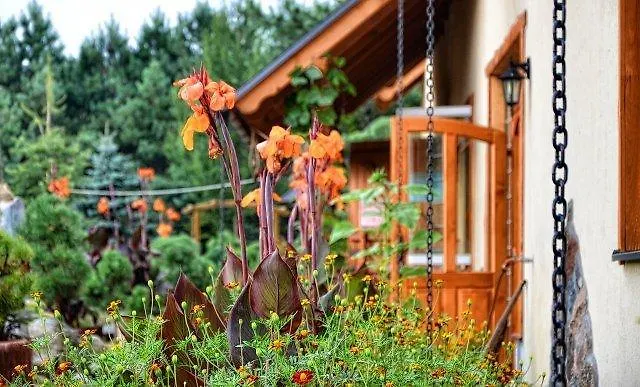 Gospodarstwo agroturystyczne Koziołkowo Bartoszylas